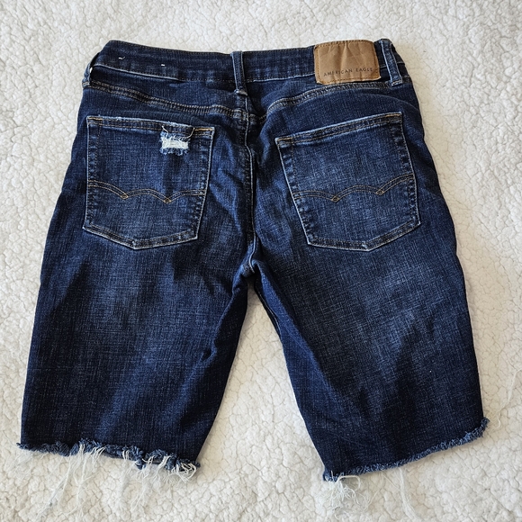 AMERICAN EAGLE/HOLLISTER MENS SHORTS SIZE 30 - Picture 5 of 8